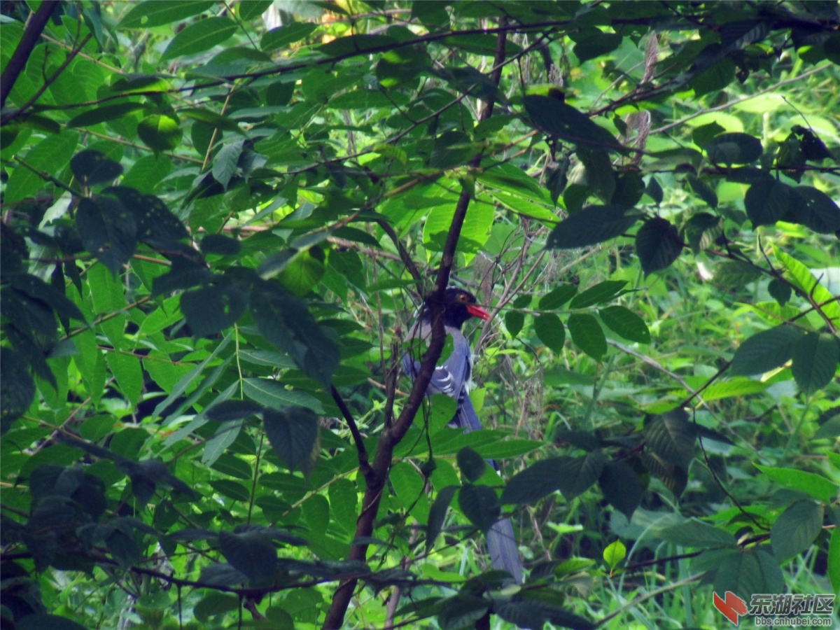 DSCF9881_副本.jpg
