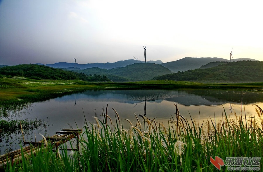 _MG_8958_1.JPG