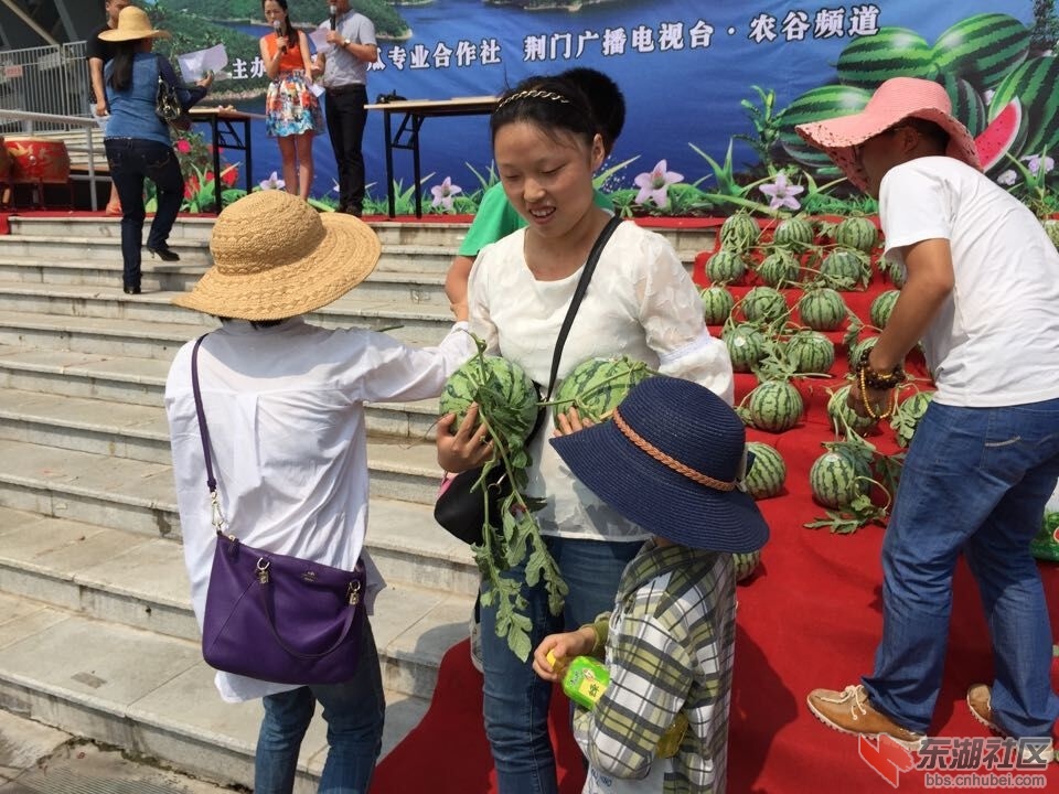 QQ图片20150601092101.jpg