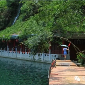 6夏日图.jpg