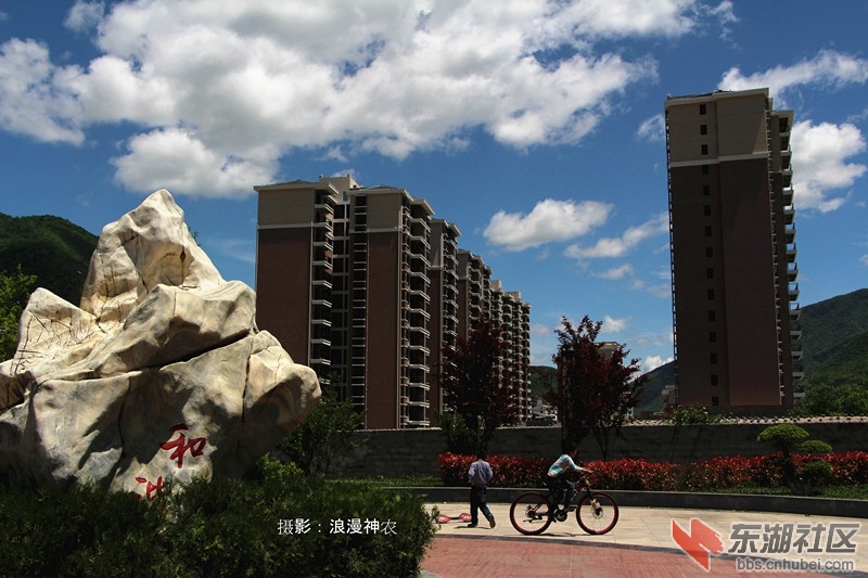 IMG_9772_副本_副本.jpg