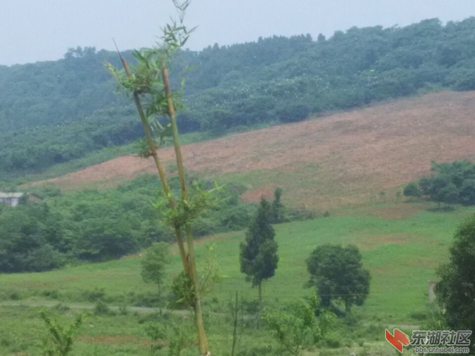 QQ图片20150601215523.jpg