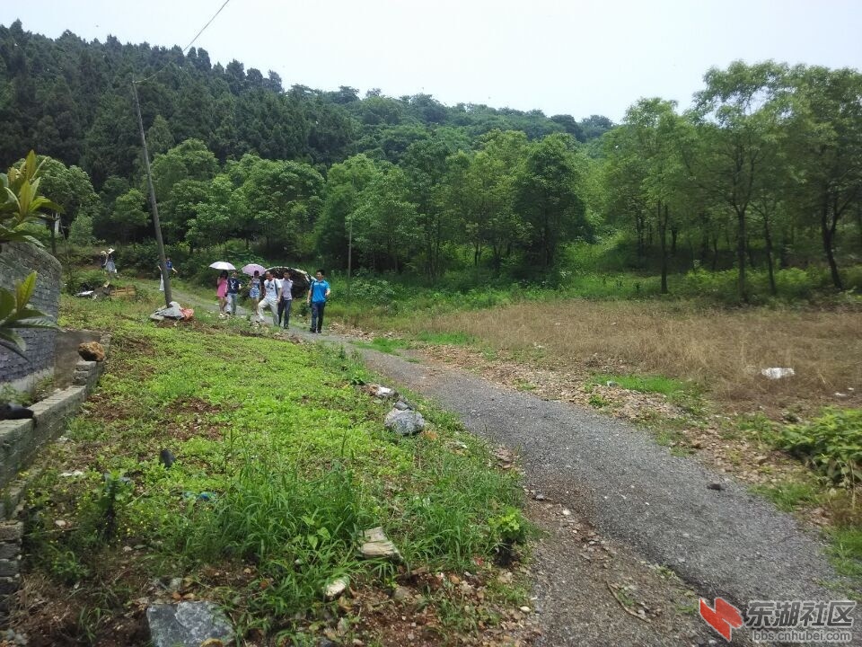 QQ图片20150601220510.jpg