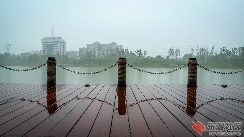 P1120124-2.jpg