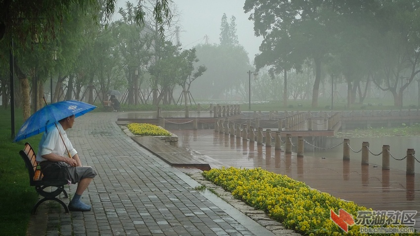 P1120131.jpg