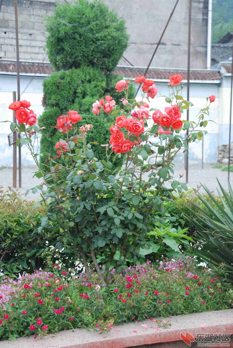 DSC_1494.jpg