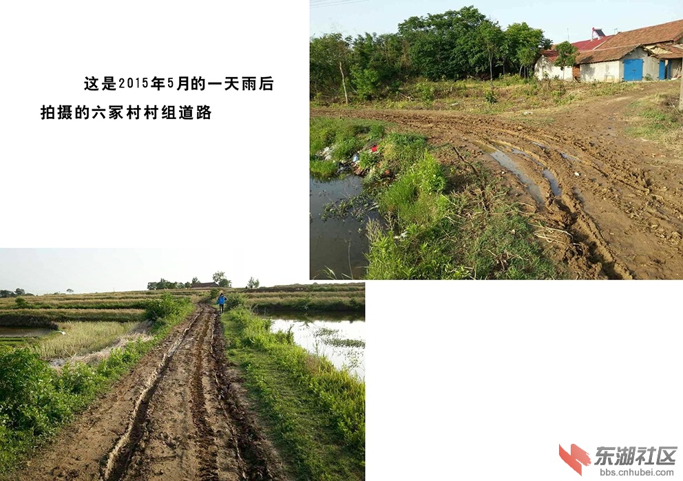 004六塚泥巴路.jpg