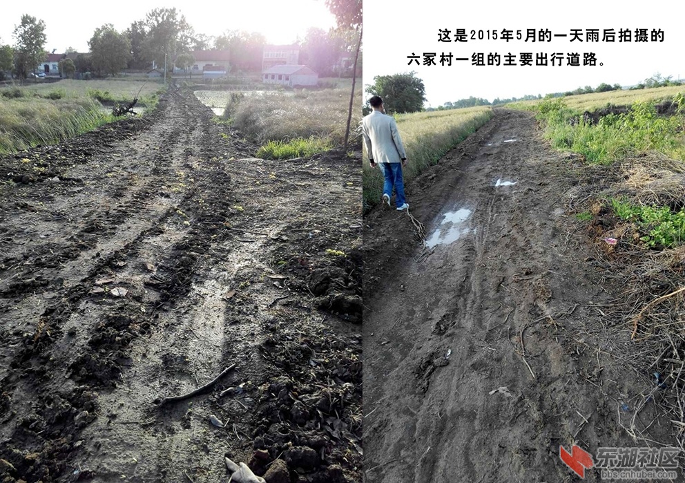 005六塚泥巴路.jpg