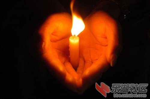 Img256883140.jpg