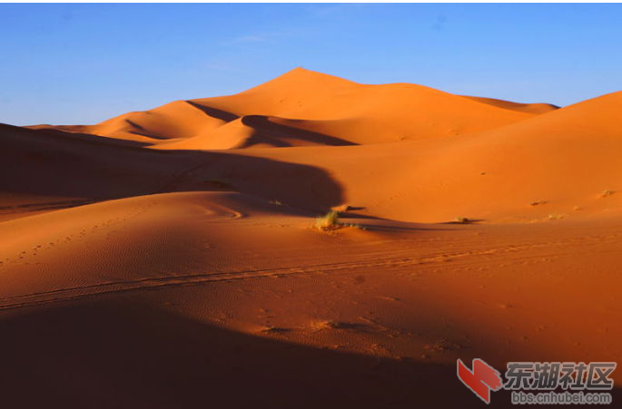 2345截图20150527063915.png