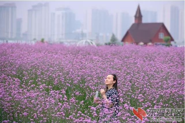 图片6.jpg