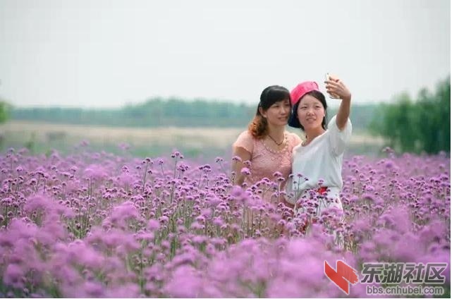图片8.jpg