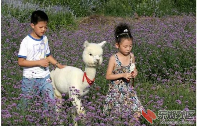 图片9.jpg