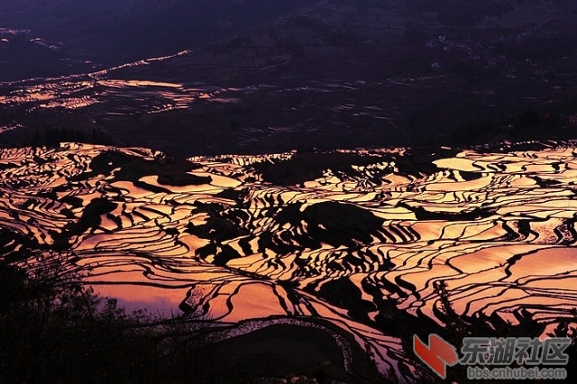 2 .云南元阳哈尼梯田3.jpg