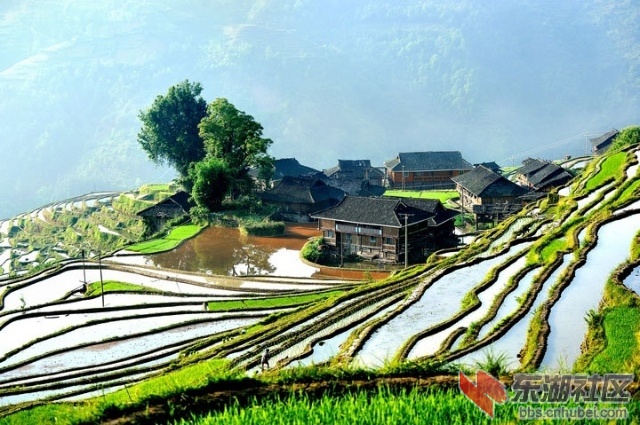 3.贵州黔东南加榜梯田2.jpg