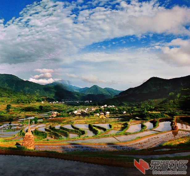 4.江西省江岭梯田2.jpg