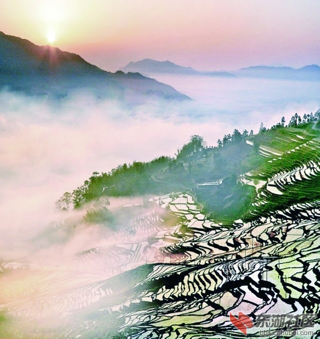 5.福建尤溪梯田2.jpg