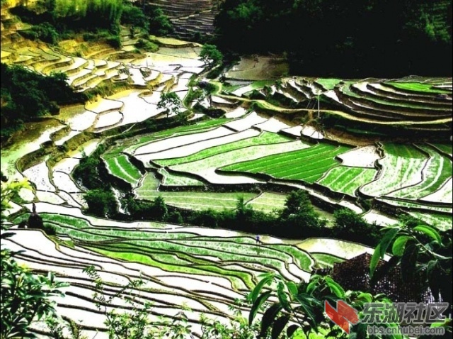 6.江西上堡梯田3.jpg