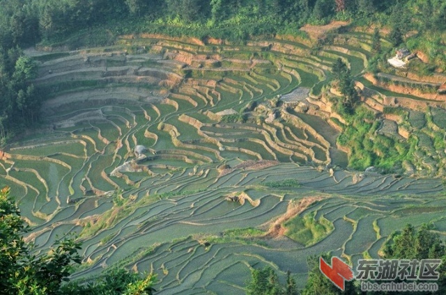 7.湖南娄底紫鹊界梯田.jpg