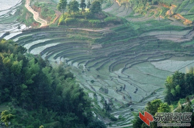 7.湖南娄底紫鹊界梯田2.jpg