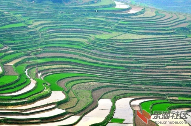 9.川南高坎梯田.jpg