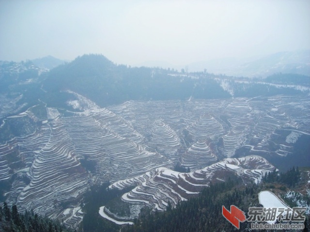 10.广西三江岑牙梯田5.jpg
