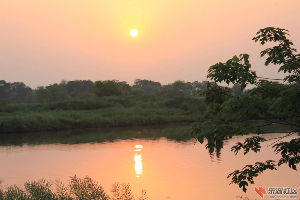 夕阳斜行