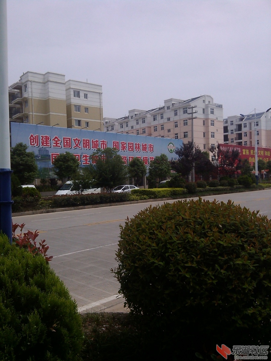 IMG_20150605_134406.jpg