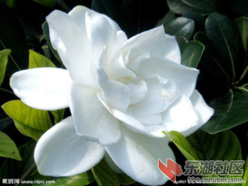 null5654fe02473ed814.jpg
