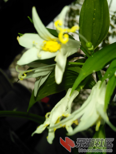 IMG20150501110539.jpg