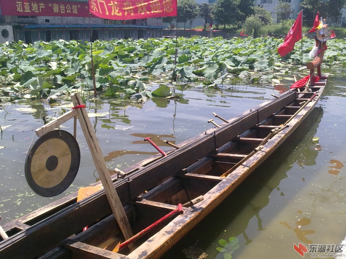20120702945.jpg