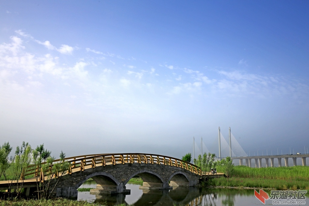 IMG_6710_副本.jpg
