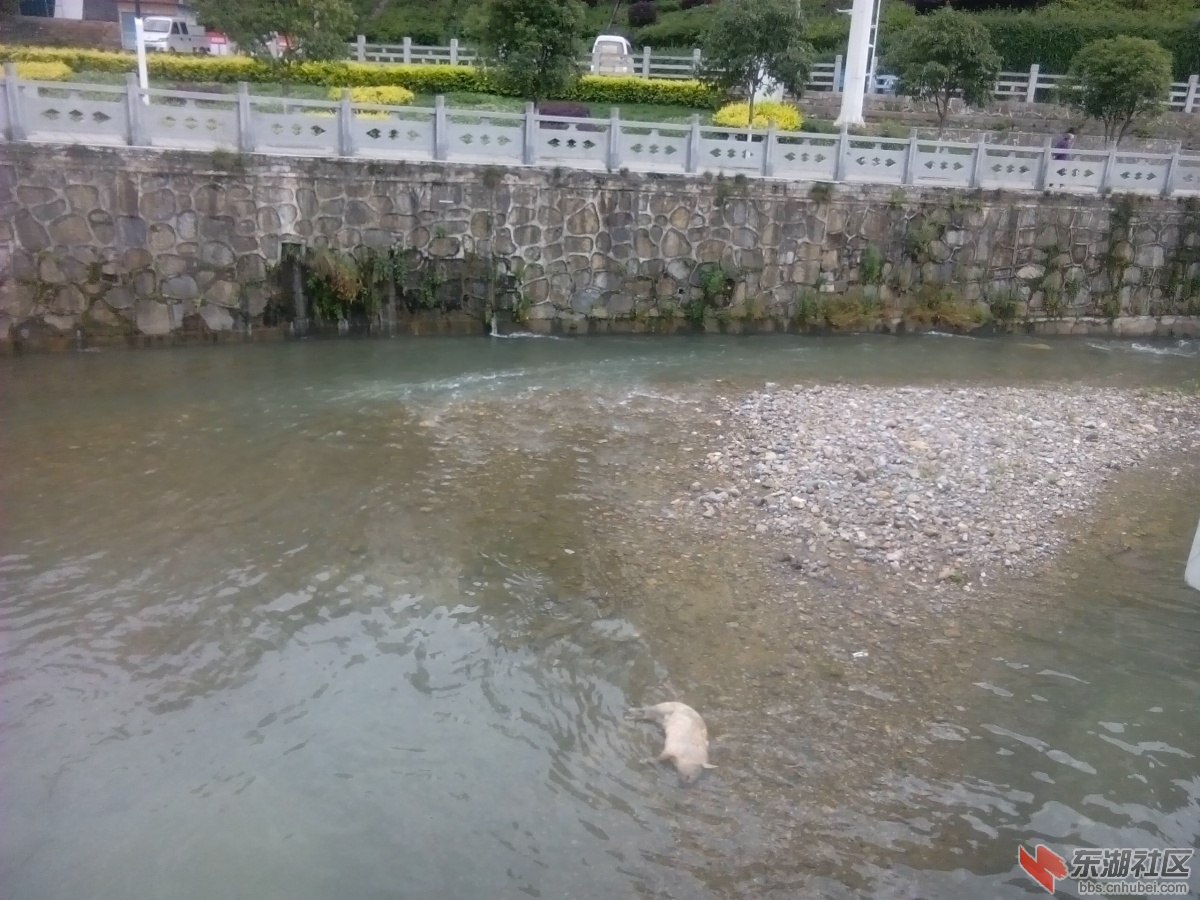 IMG_20150607_073315.jpg