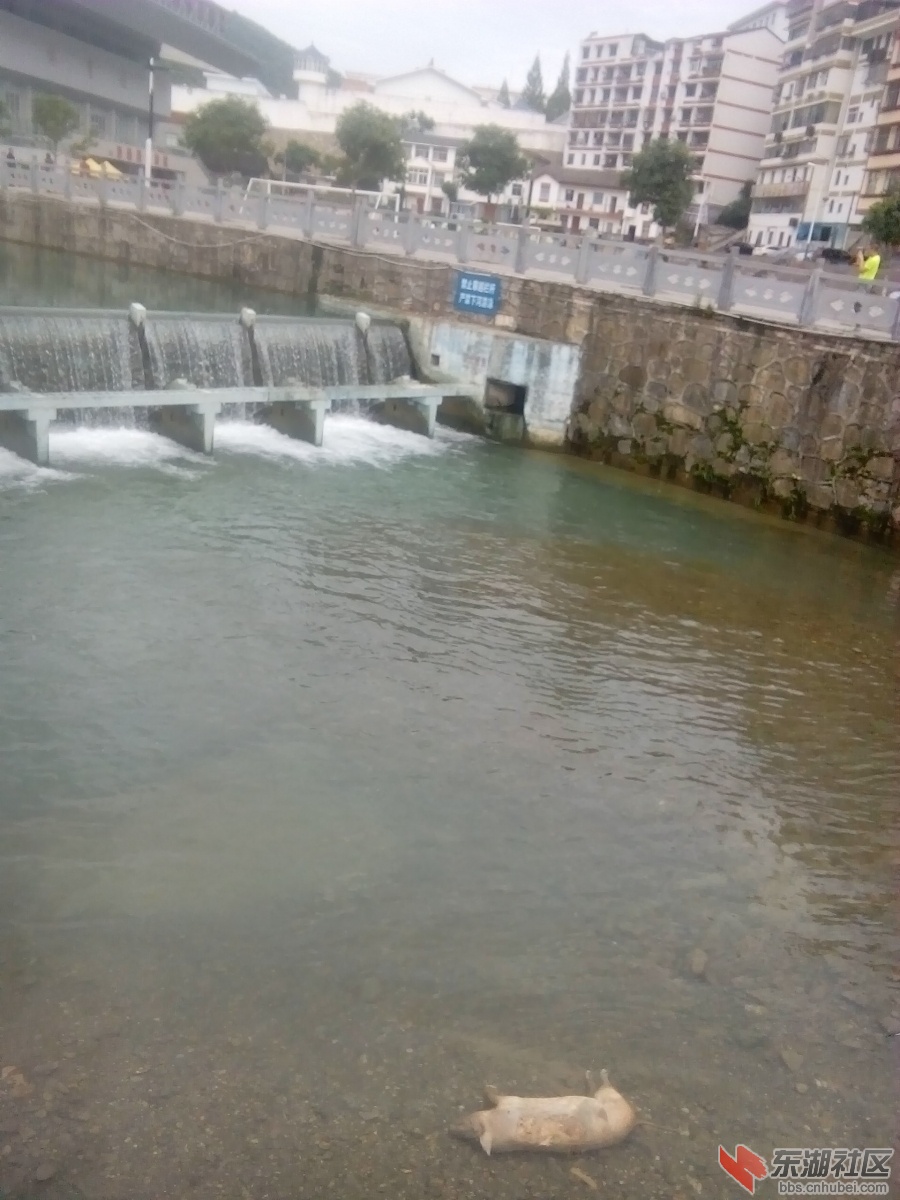 IMG_20150607_073335.jpg