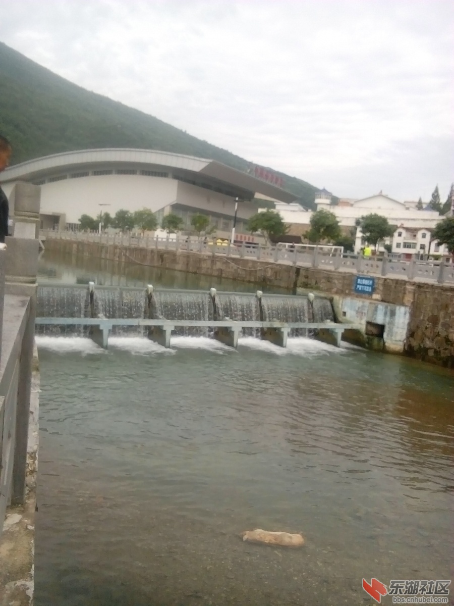 IMG_20150607_073352.jpg