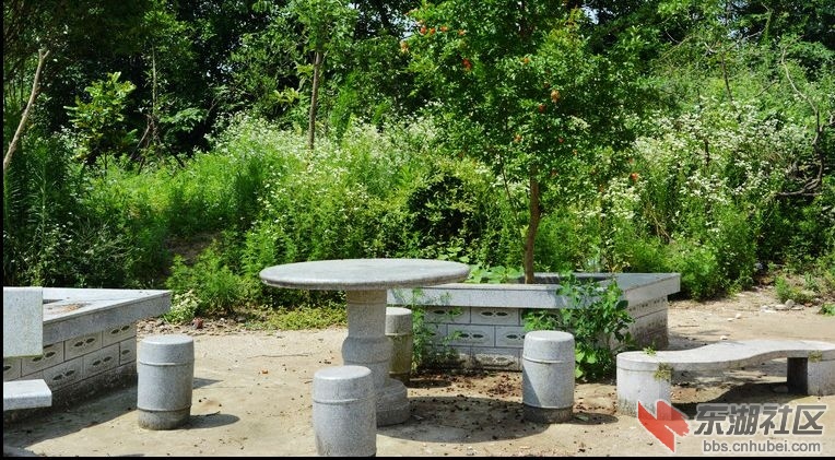 记忆梅川，记住乡愁系列报道之五十三蔡林村