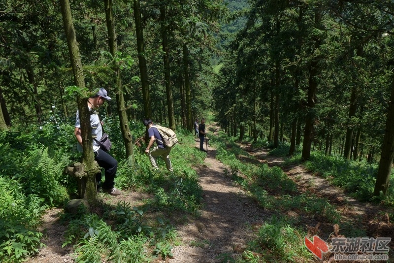 P1240574_副本.jpg
