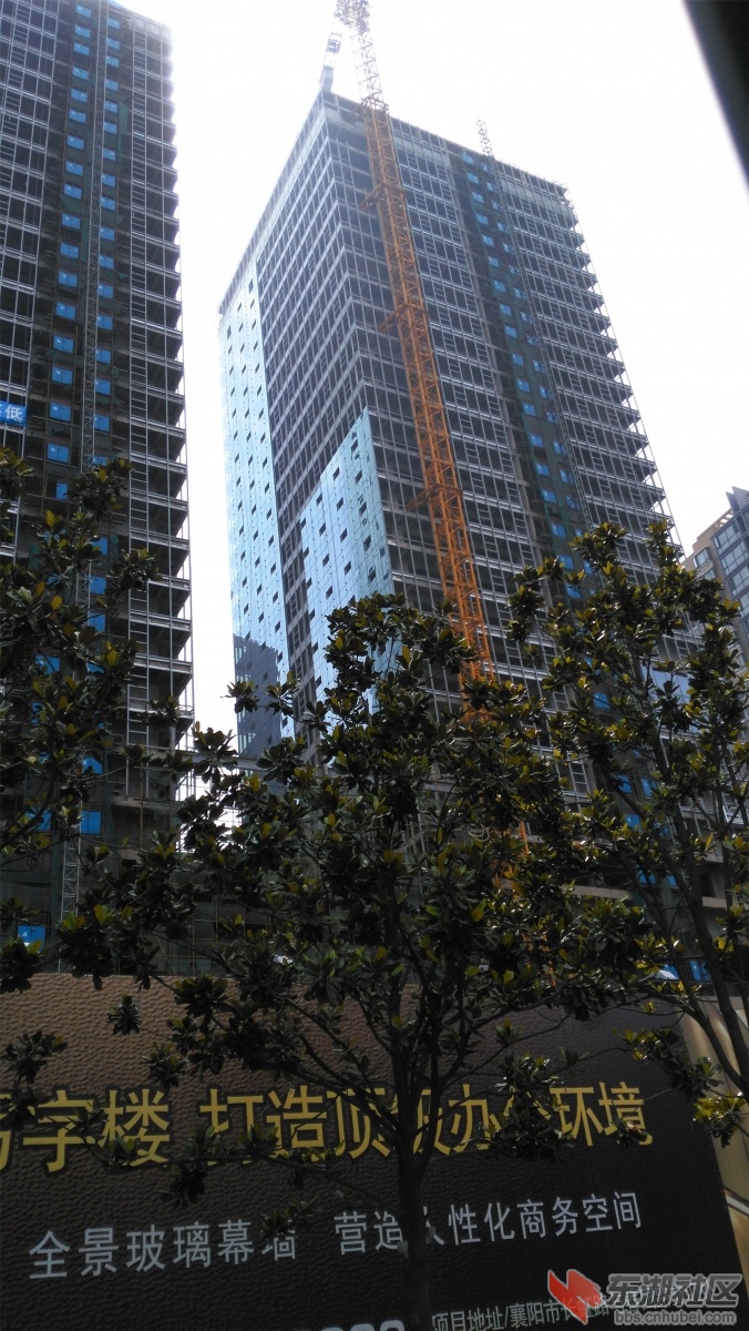 IMG_20150606_102438_副本.jpg