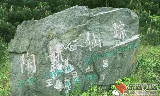 陶姚仙踪.jpg