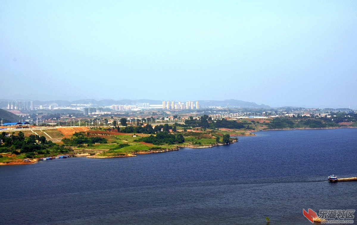 _DSC0305.JPG