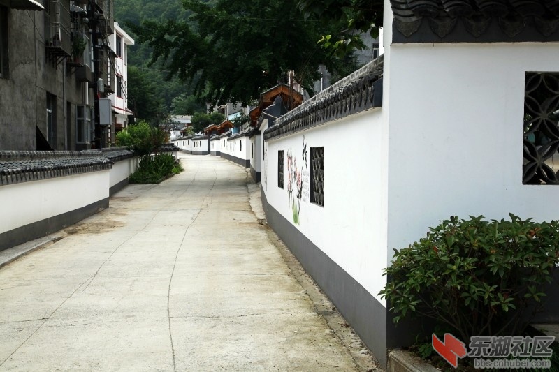 conew__mg_4001.jpg