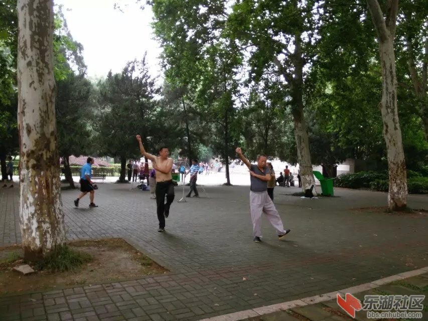 公园14.jpg
