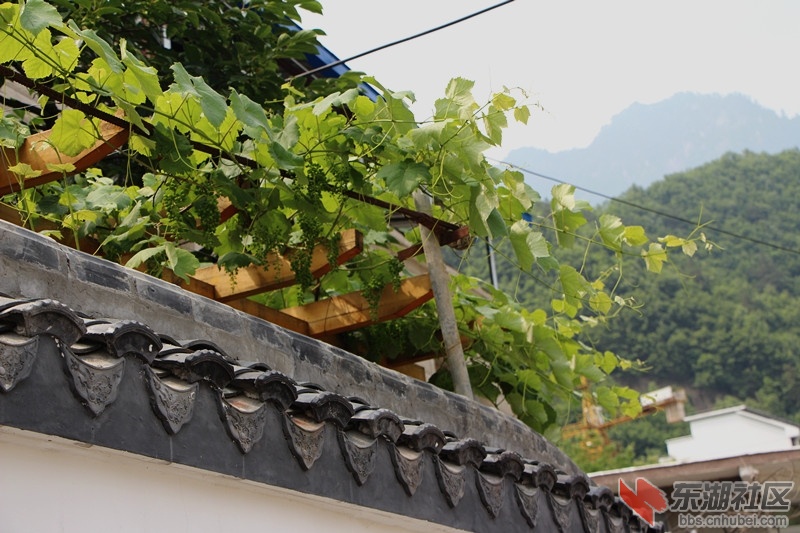IMG_1618_副本.jpg