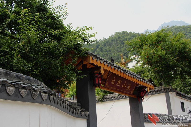 IMG_1623_副本.jpg