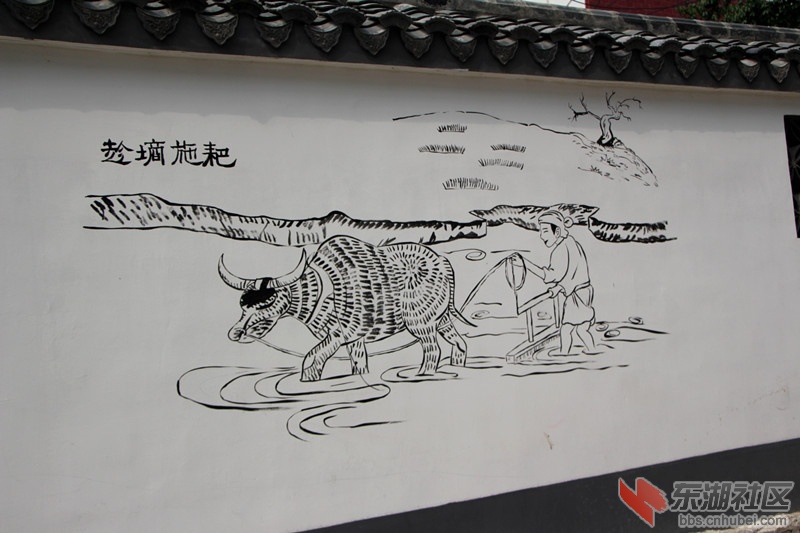 IMG_1684_副本.jpg
