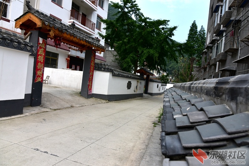 YWF_8155_副本.jpg