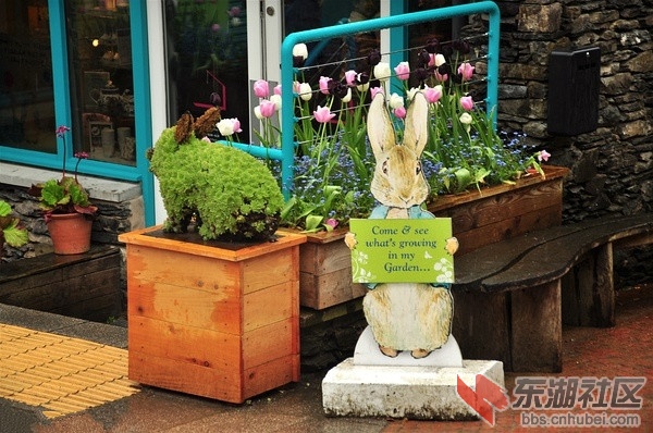 image001.jpg