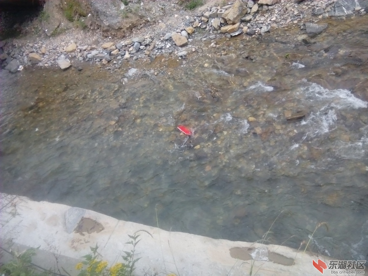 IMG_20150614_064957.jpg