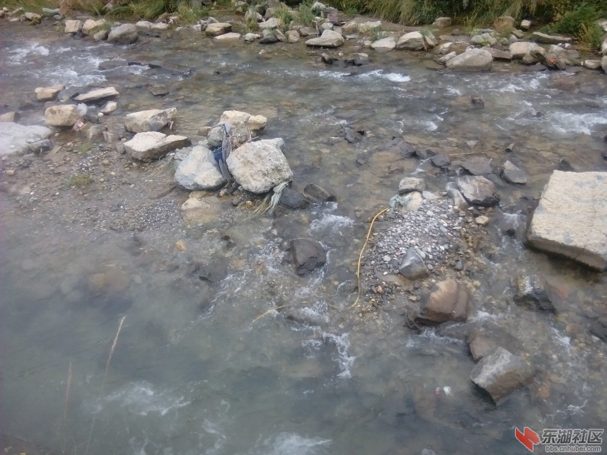 IMG_20150614_065239.jpg