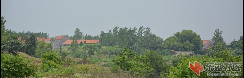 记忆梅川，记住乡愁系列报道之五十六回垅村